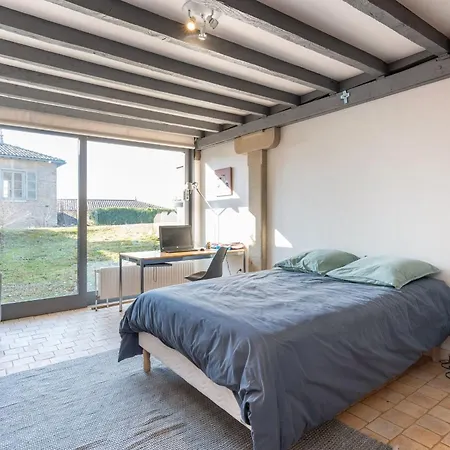 Les Voutes - Beautiful With Swimming Pool * Saint-Didier-au-Mont-d'Or